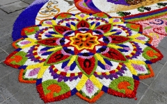 Biuro podróży Strade d'Italia Mikołów